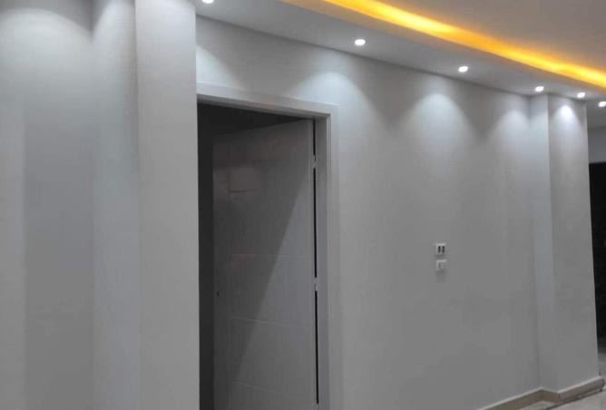 8123713 - Property Image 3