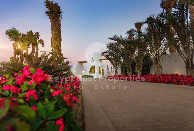 8326911 - صورة العقار 2