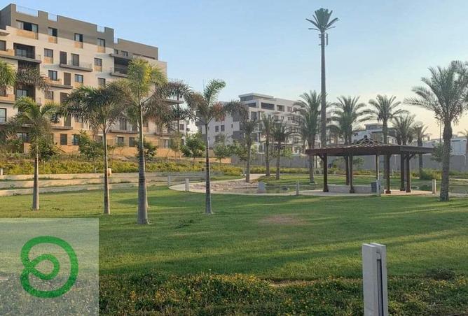 8464653 - Property Image 2