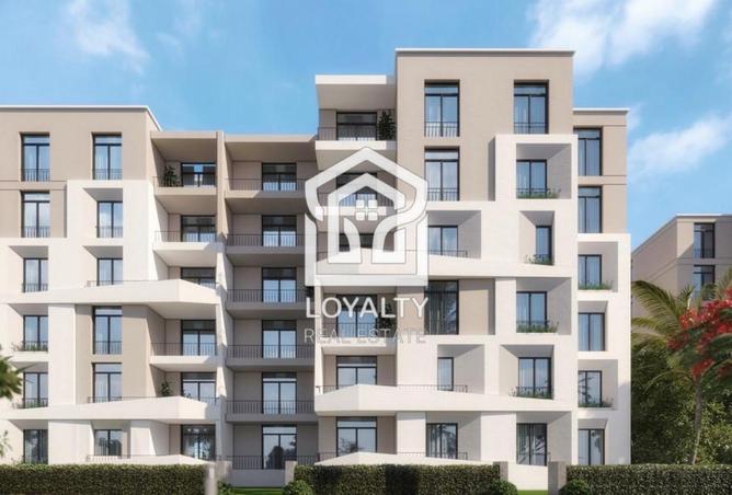 8125629 - Property Image 3