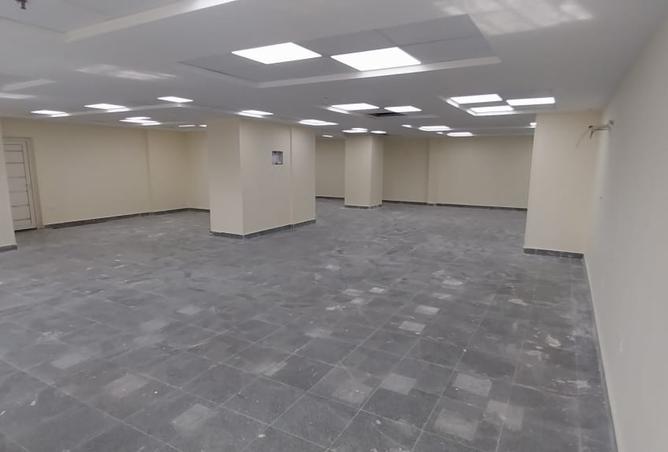 7895810 - Property Image 3