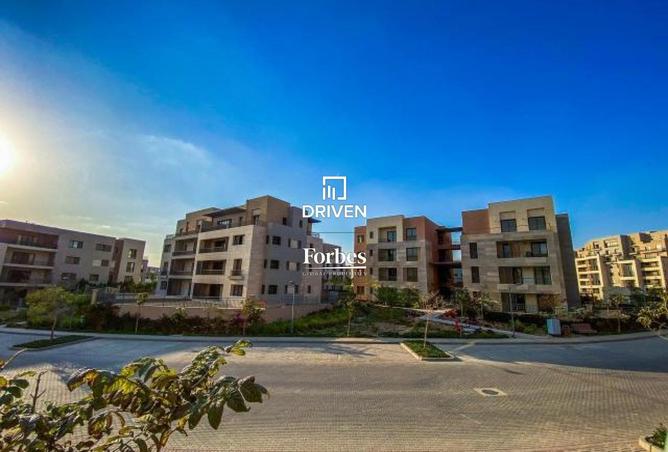 8061501 - صورة العقار 2