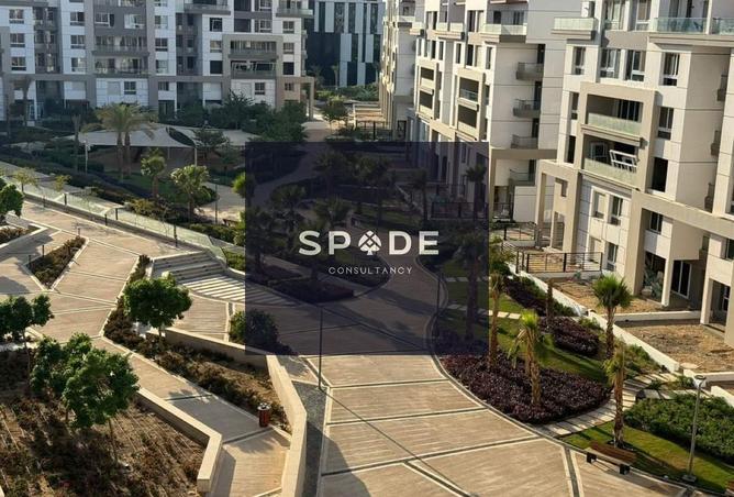 8176715 - Property Image 3