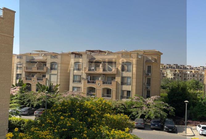 8251677 - Property Image 3