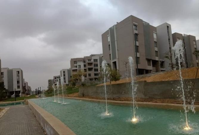 7987527 - Property Image 2