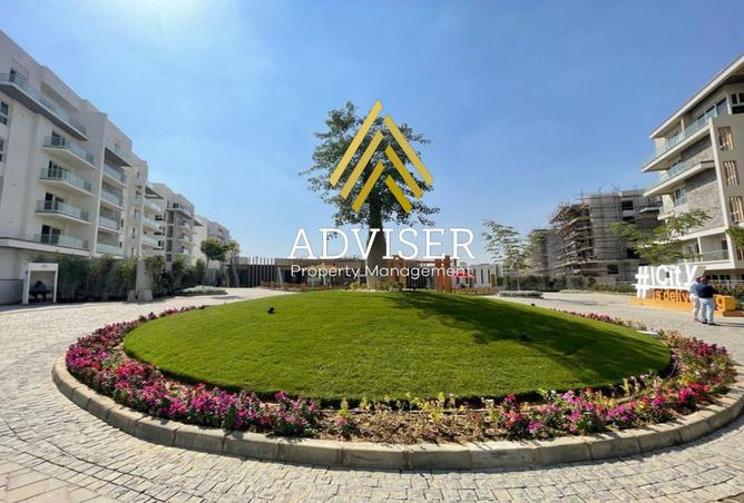 8273665 - صورة العقار 3