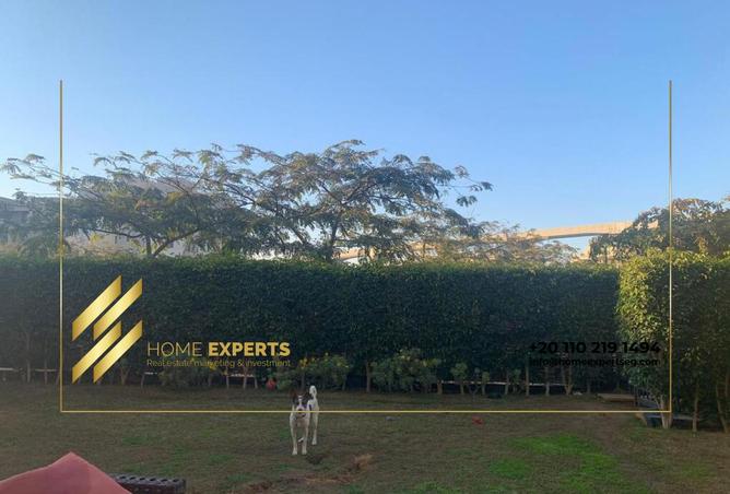 8330955 - صورة العقار 3