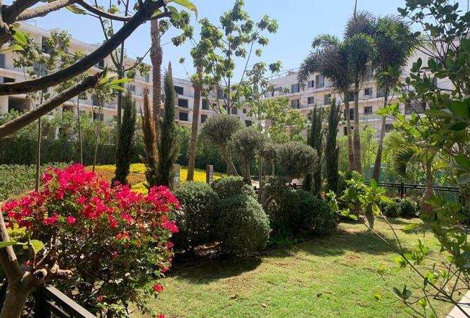 8178730 - الصورة الرئيسية للعقار