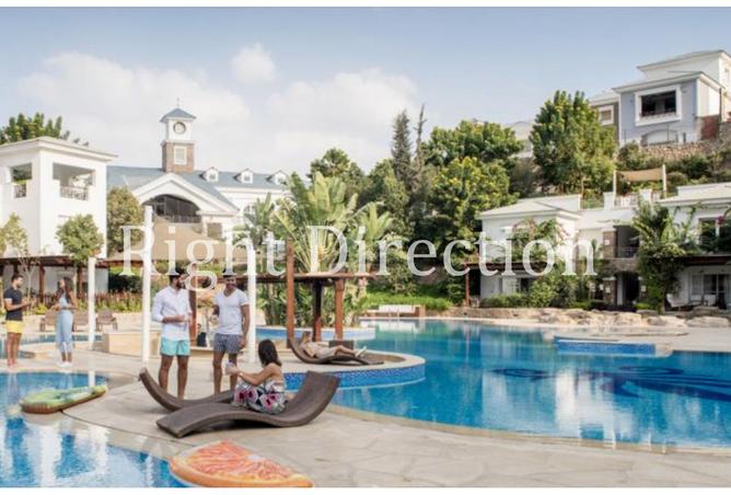 8416211 - صورة العقار 2