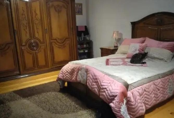 8131864 - Property Image 3