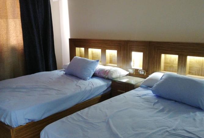 8025509 - صورة العقار 3
