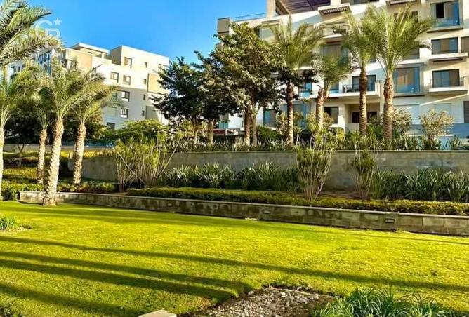 8274634 - Property Image 3