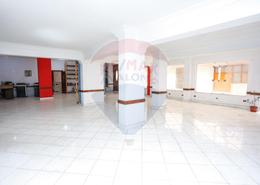 Bulk Rent Unit for للايجار in Moharam Bek - Hay Wasat - Alexandria
