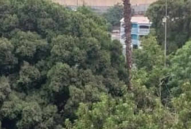 8211853 - Property Image 2