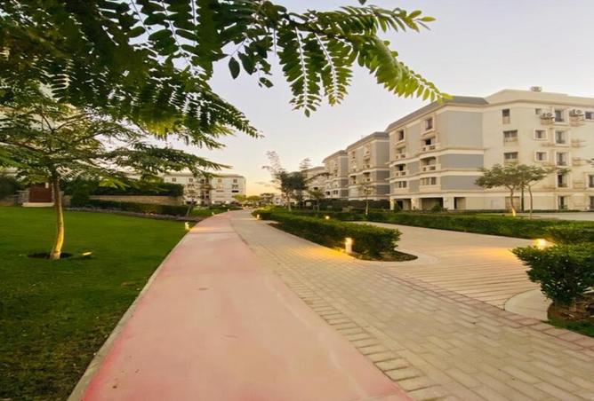 8234919 - Property Image 3