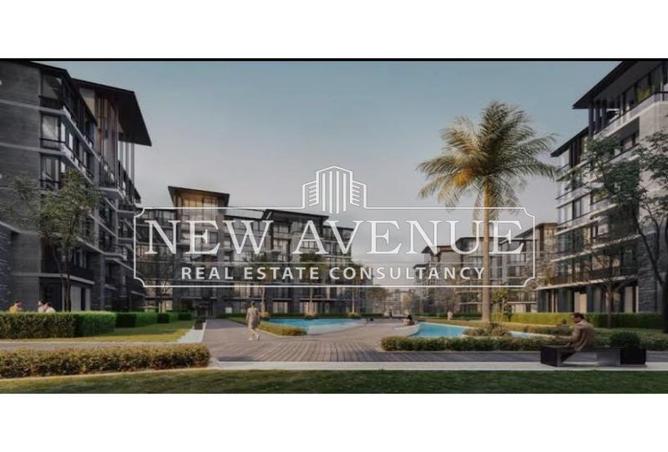 8338338 - Property Image 3