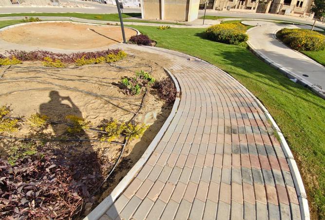 8313285 - صورة العقار 3