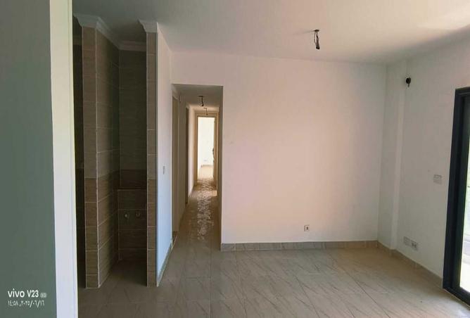 7986267 - Property Image 3