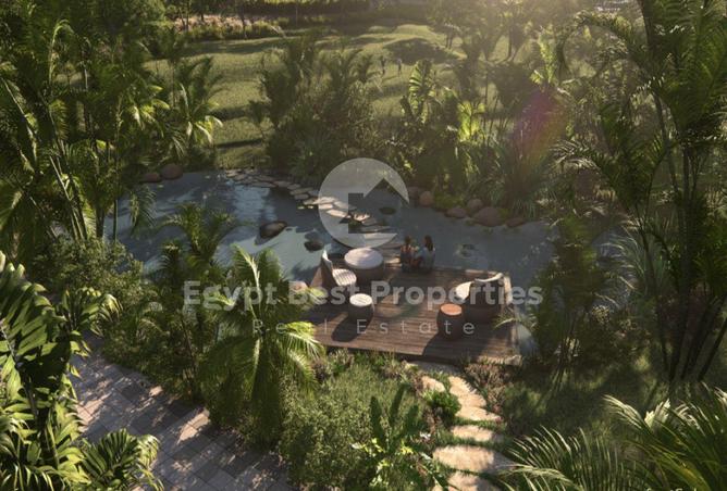 8275065 - Property Image 2