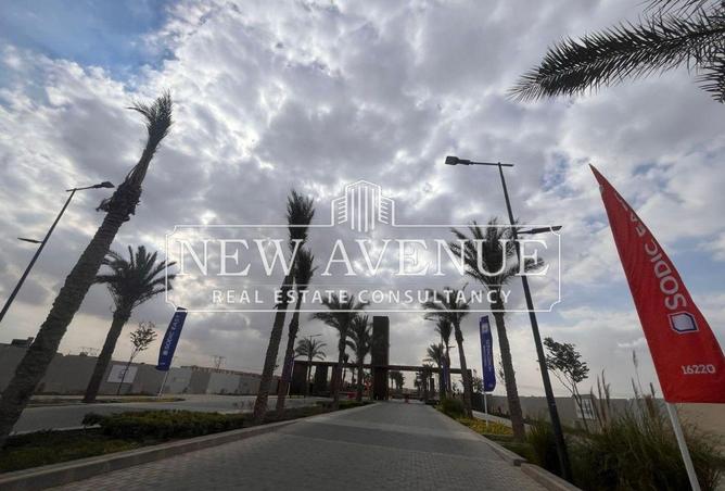 8107909 - صورة العقار 3