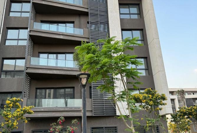 8308781 - صورة العقار 3