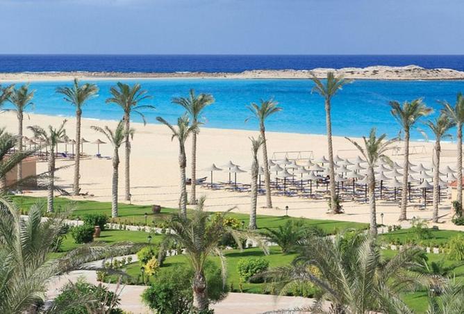 8373501 - صورة العقار 2