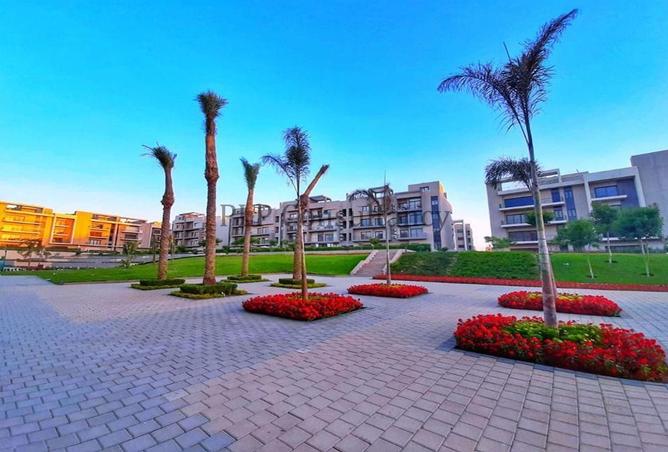 6903409 - صورة العقار 2