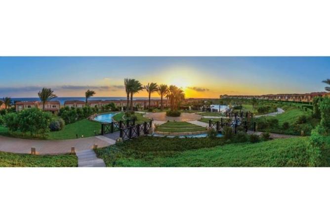 8223788 - Property Image 3