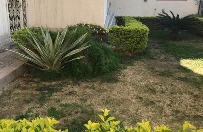 Full Floor - Studio - 7+ Bathrooms for rent in Al Tulip St. - West Somid - 6 October City - Giza