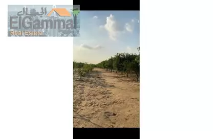 Land - Studio for sale in Gamaiet Ahmed Orabi - Obour City - Qalyubia