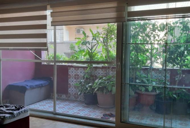 8484024 - Property Image 3