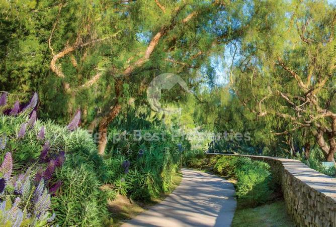 8189442 - Property Image 2