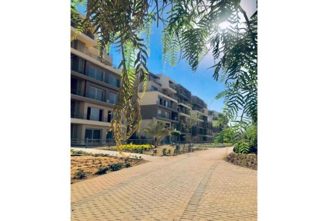 8140853 - Property Image 2