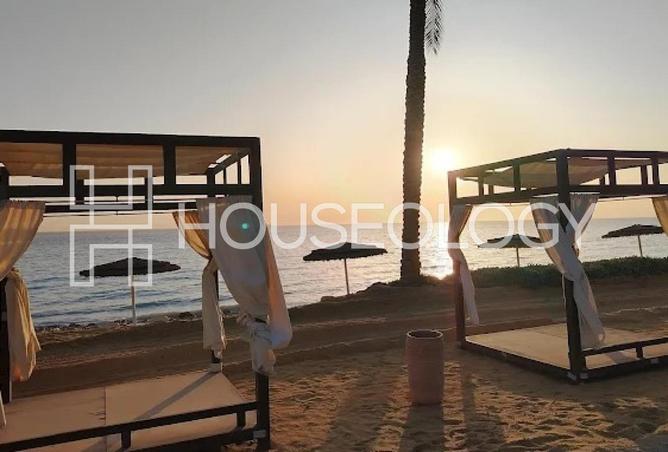 8165278 - الصورة الرئيسية للعقار