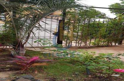 Villa - 4 Bedrooms - 3 Bathrooms for sale in Stella Heliopolis - Cairo - Ismailia Desert Road - Cairo