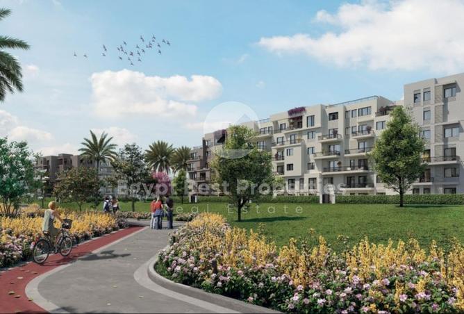 8123075 - Property Image 3