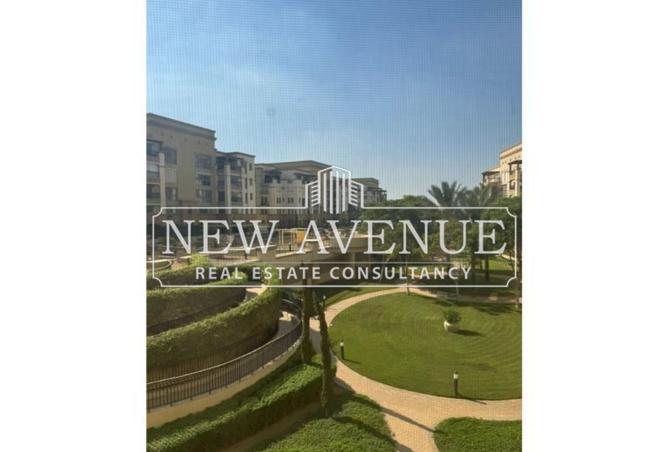 8297546 - Property Image 2