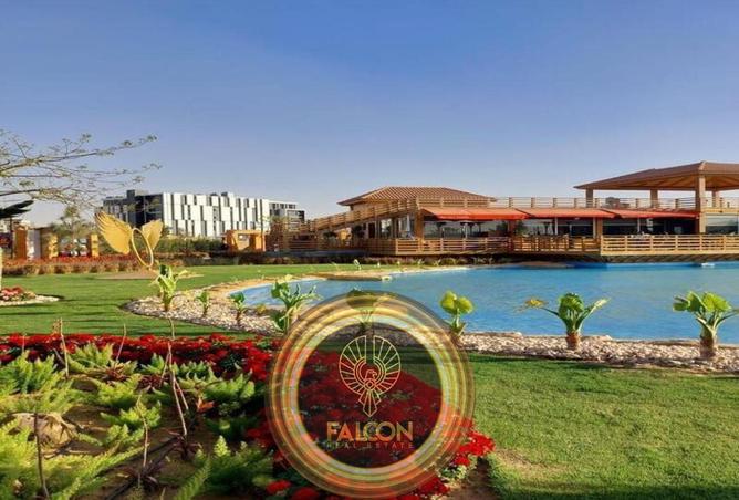 7904367 - صورة العقار 2