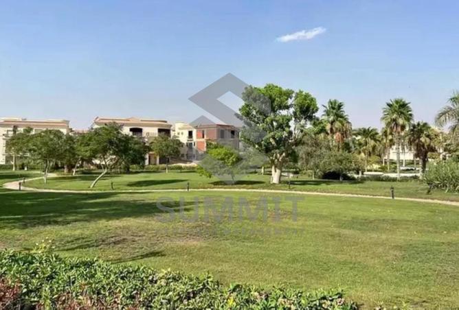 8074378 - Property Image 3