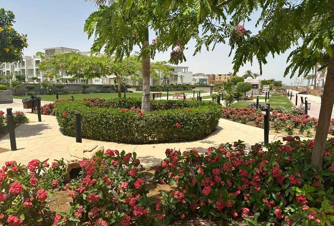 8416202 - صورة العقار 3