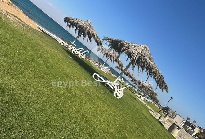 8427870 - صورة العقار 3