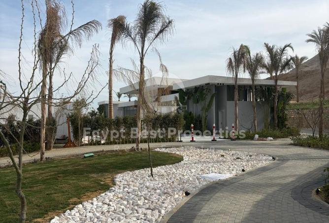 8451044 - صورة العقار 3