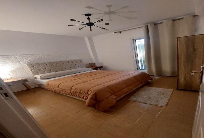 7906089 - Property Image 3