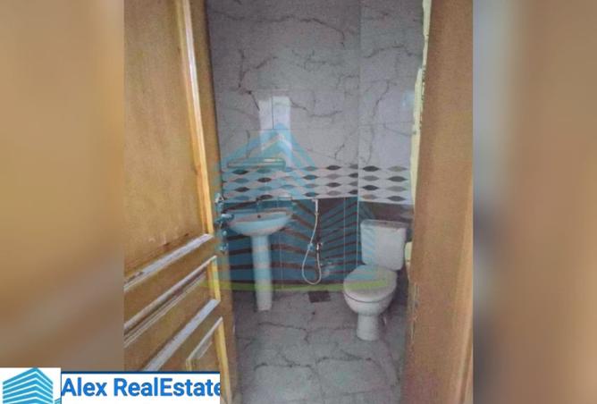 8105335 - Property Image 3