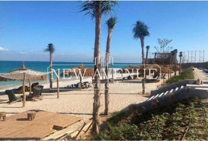 8455969 - Property Image 3