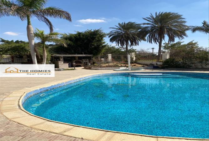 7985158 - صورة العقار 2