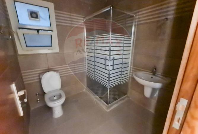 7943642 - Property Image 3