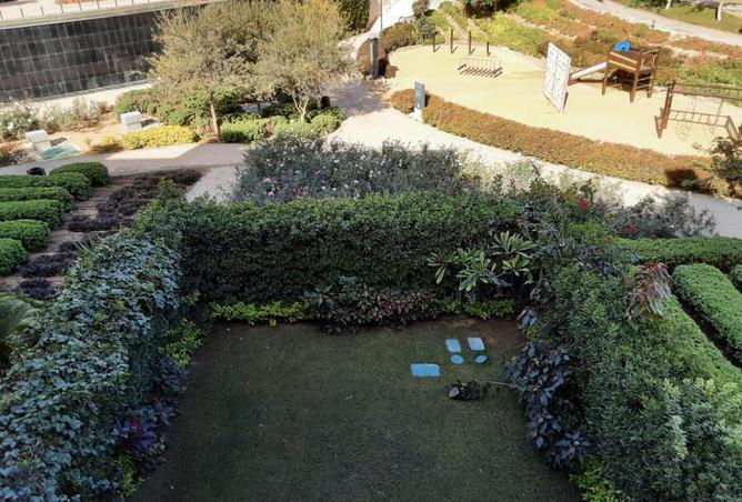 8465791 - صورة العقار 3