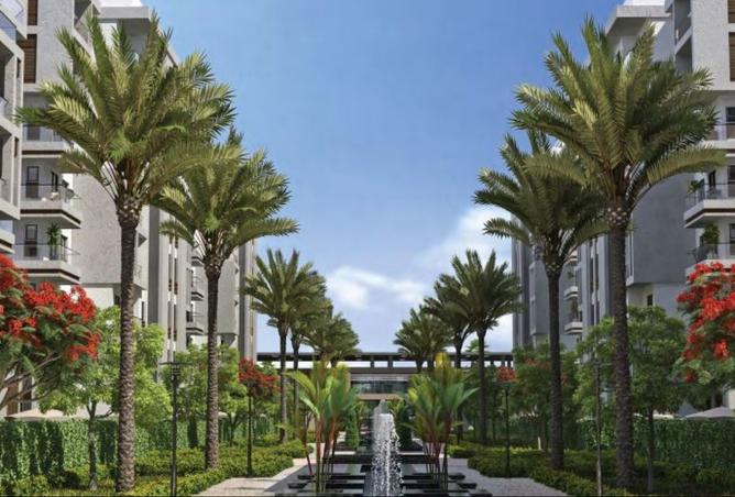 8295163 - صورة العقار 2