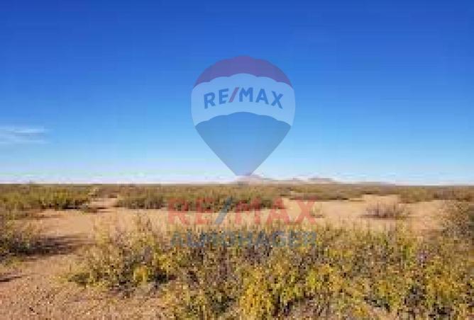 8376647 - Property Image 2